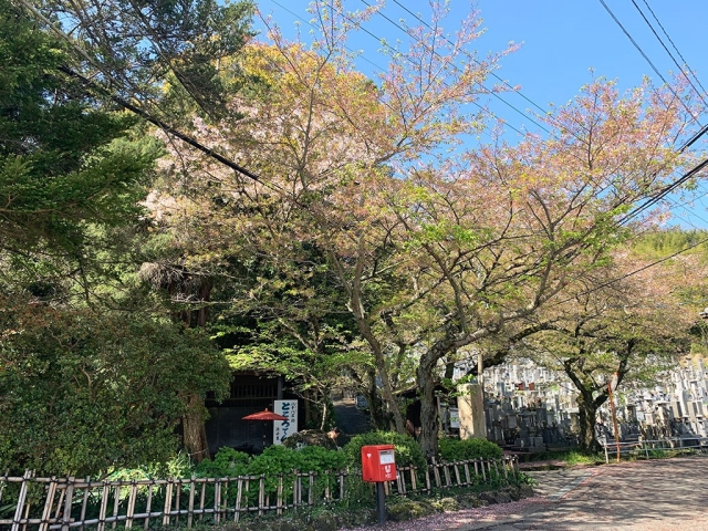 kiyomizuya05